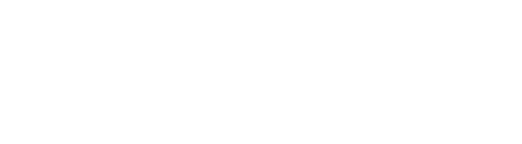 Synco Food